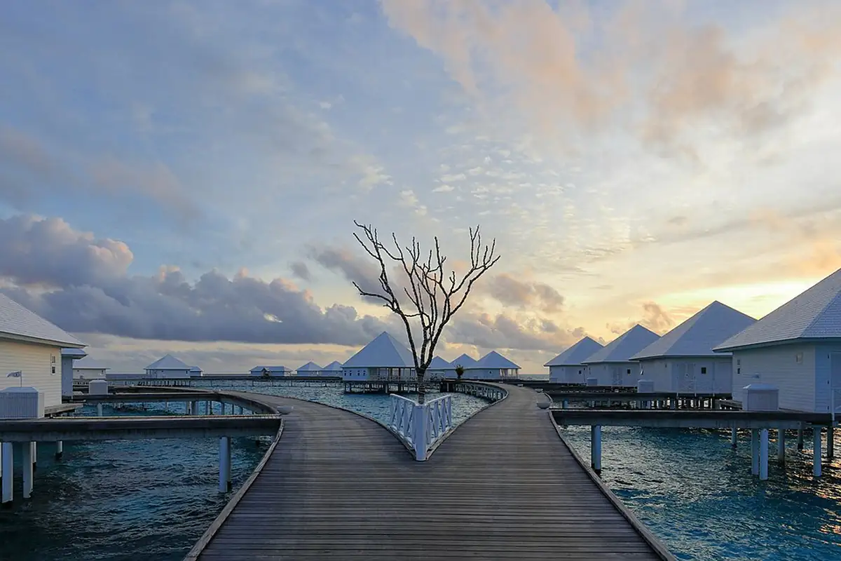 Bookable experiences in Maldives