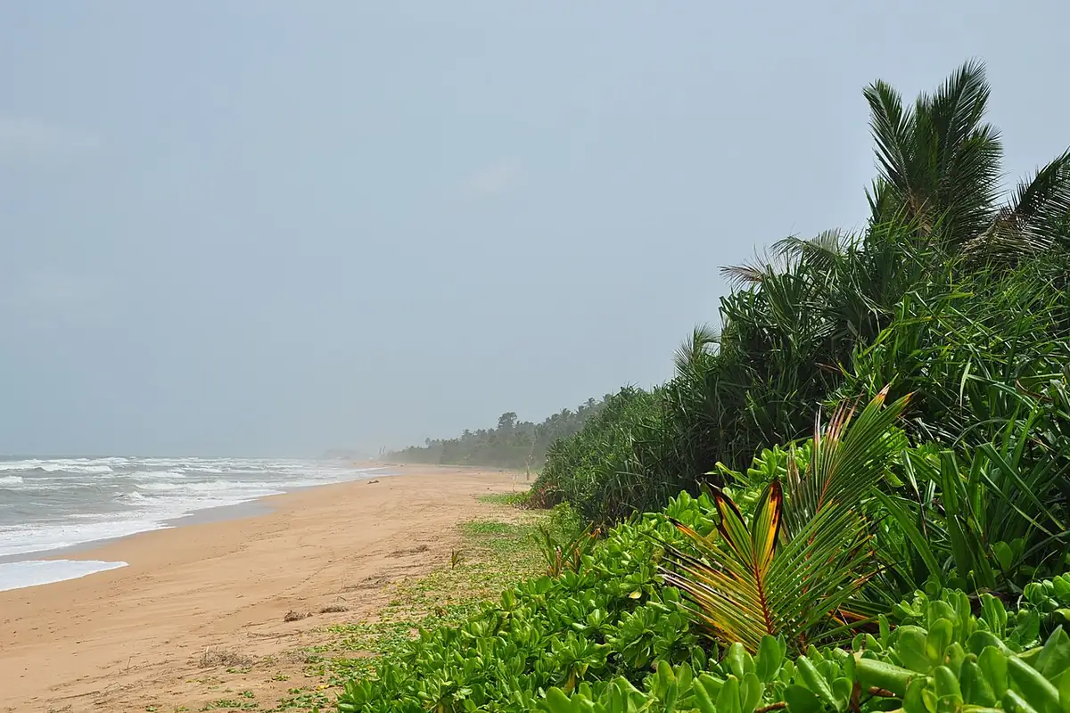 Sri Lanka — ready to turn this guide into a tripboard