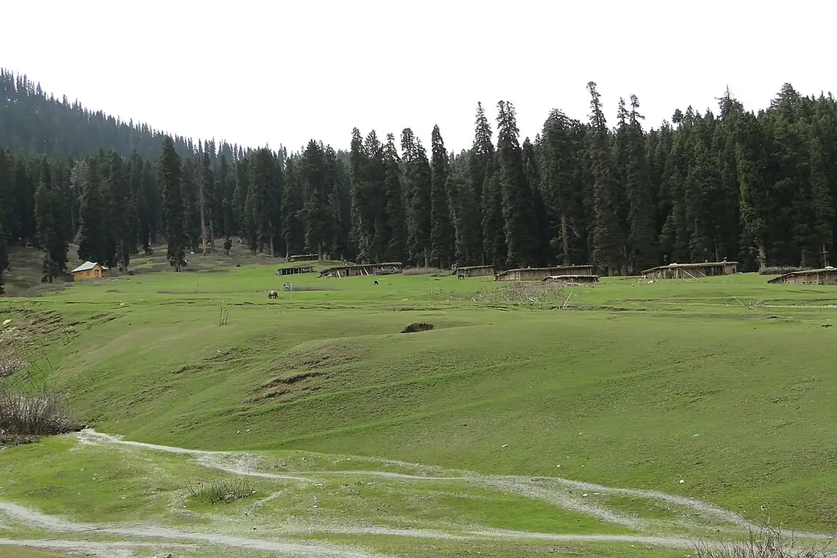 Srinagar and nearby bases in Kashmir
