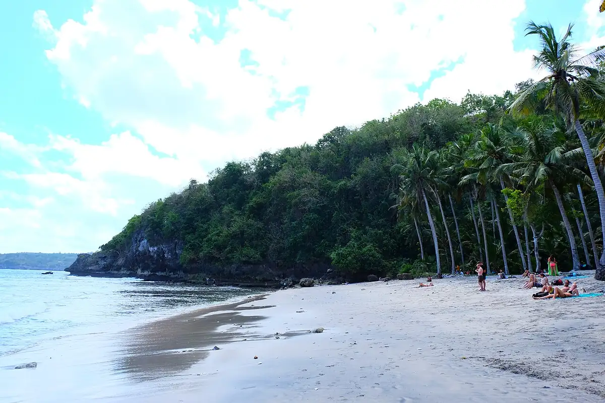 Bali — ready to turn this guide into a tripboard