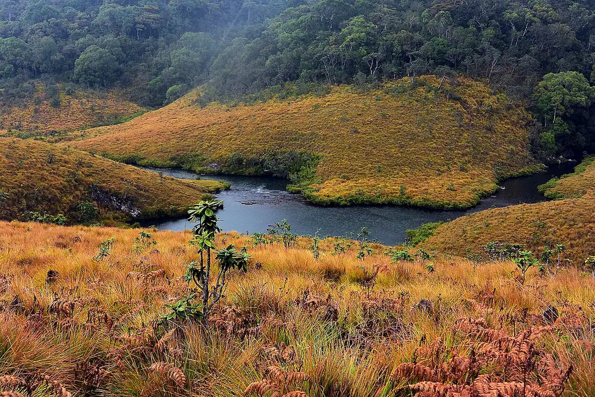 Sri Lanka — ready to turn this guide into a tripboard