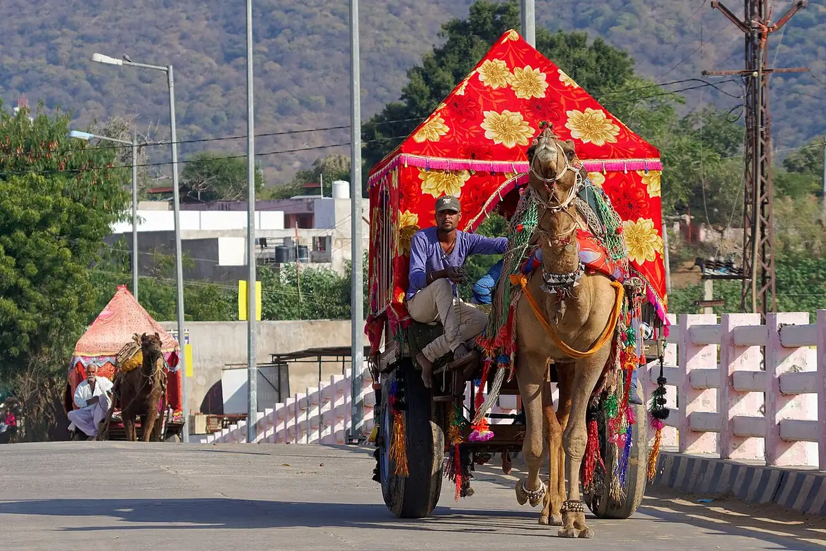 Rajasthan weather and landscapes by season