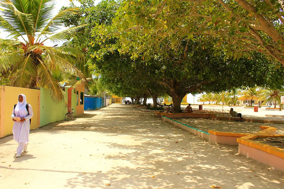 Bookable experiences in Maldives