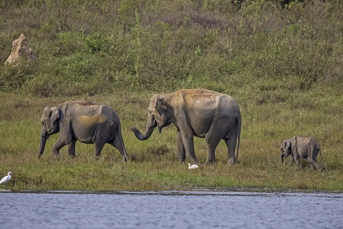 Sri Lanka — ready to turn this guide into a tripboard